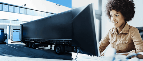 VDO Fleet tachograph management